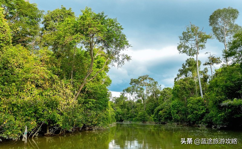 去沙巴是自由行还是跟团好 (沙巴跟团游玩攻略)