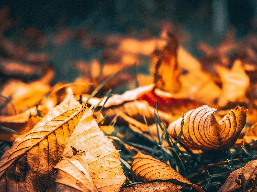 我的心是玻璃做的是哪首歌的歌词,我的心是玻璃做的原唱