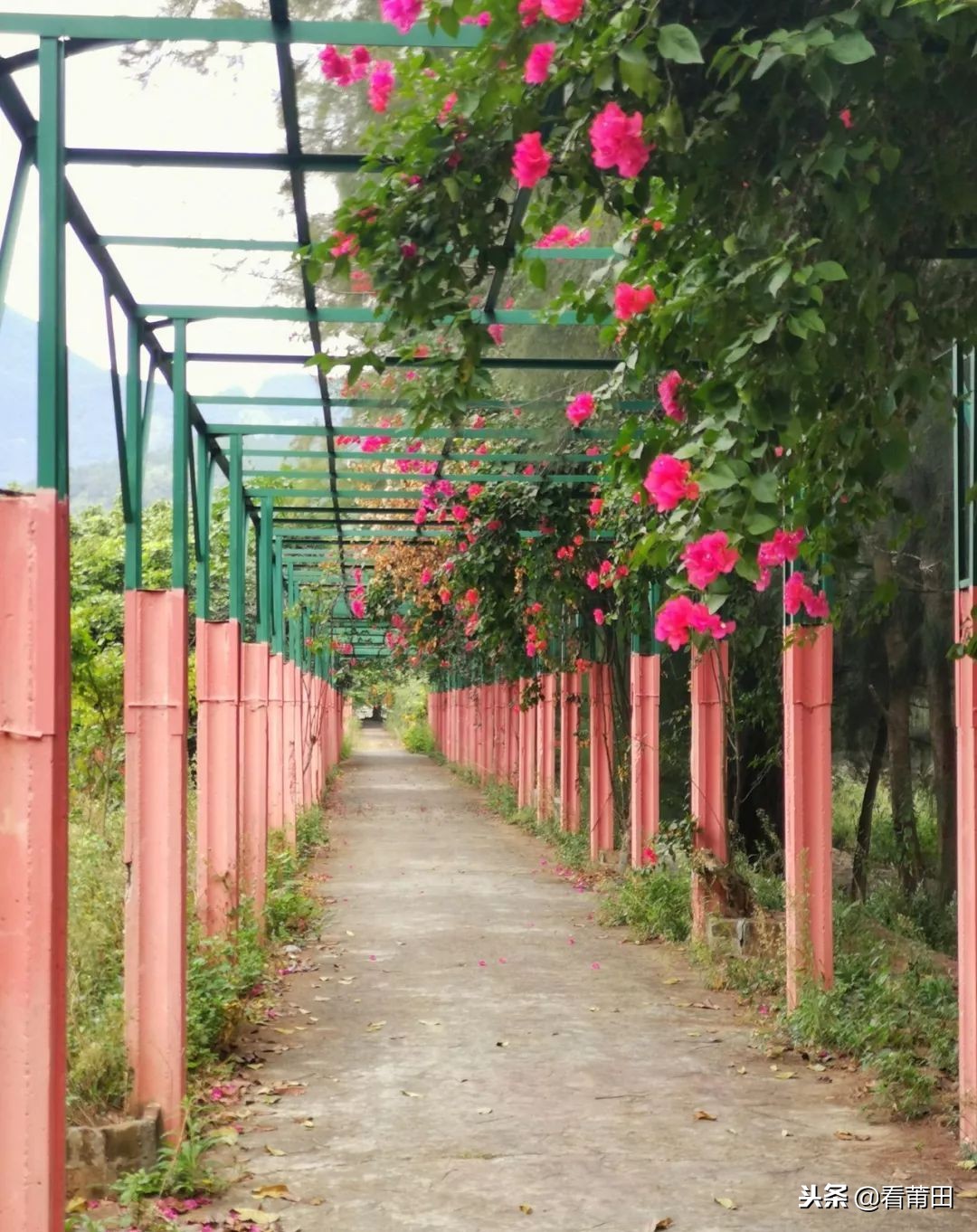 莆田快乐农庄以前的样子,莆田快乐农庄建什么