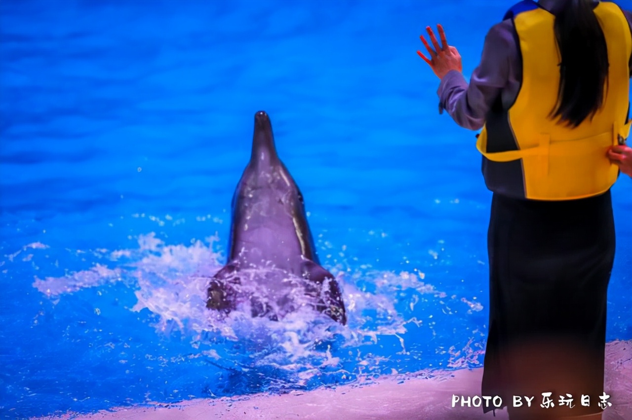 来珠海旅游必打卡的景点,春节珠海亲子游玩地方推荐