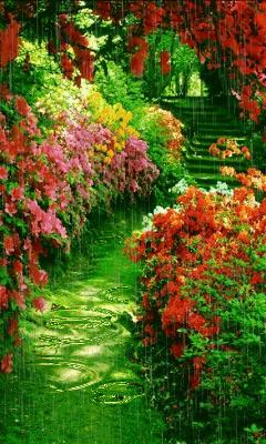 100张会动照片,30张罕见且迷人的图片