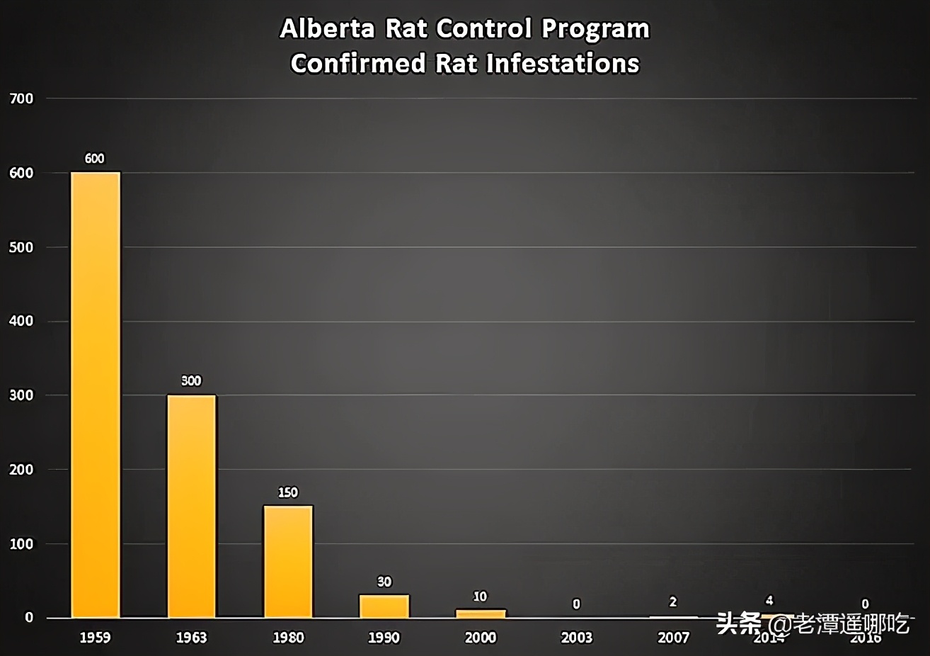 加拿大哪个城市老鼠最多,加拿大没有老鼠的地方