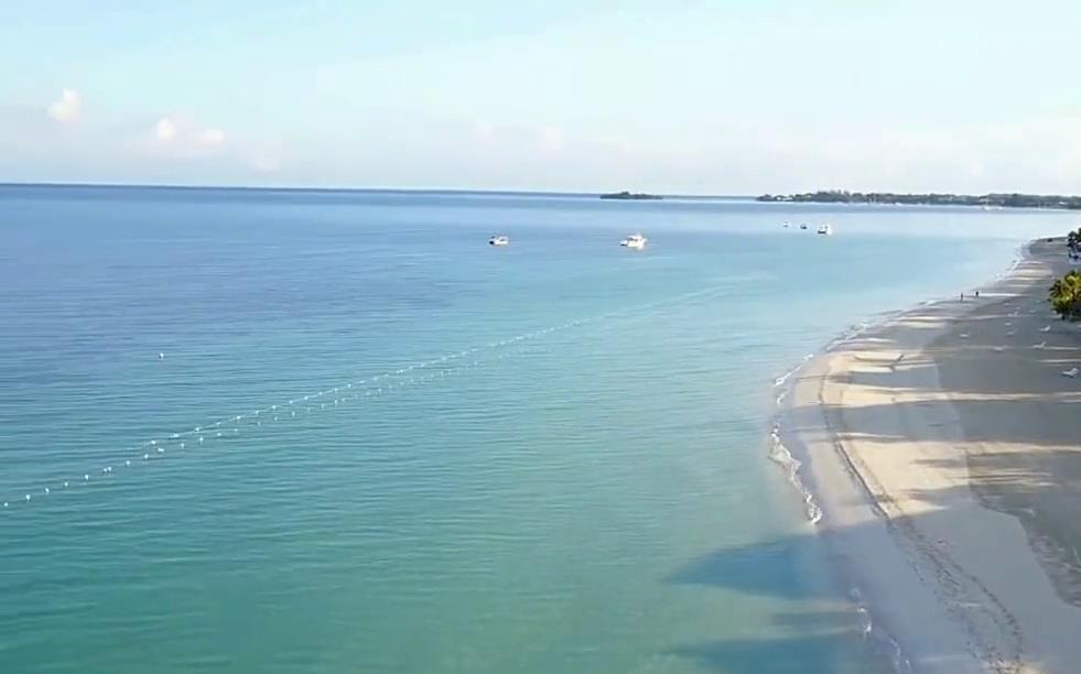 显微镜下的海洋生物,显微镜下的海洋