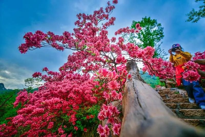 西泰山的特点是什么,西泰山为啥叫西泰山