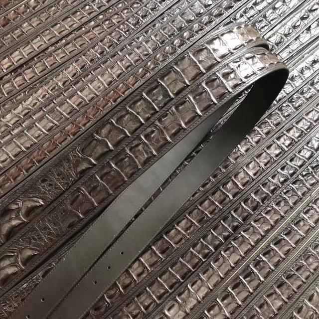 十大天价鳄鱼品种,真正的鳄鱼多少钱