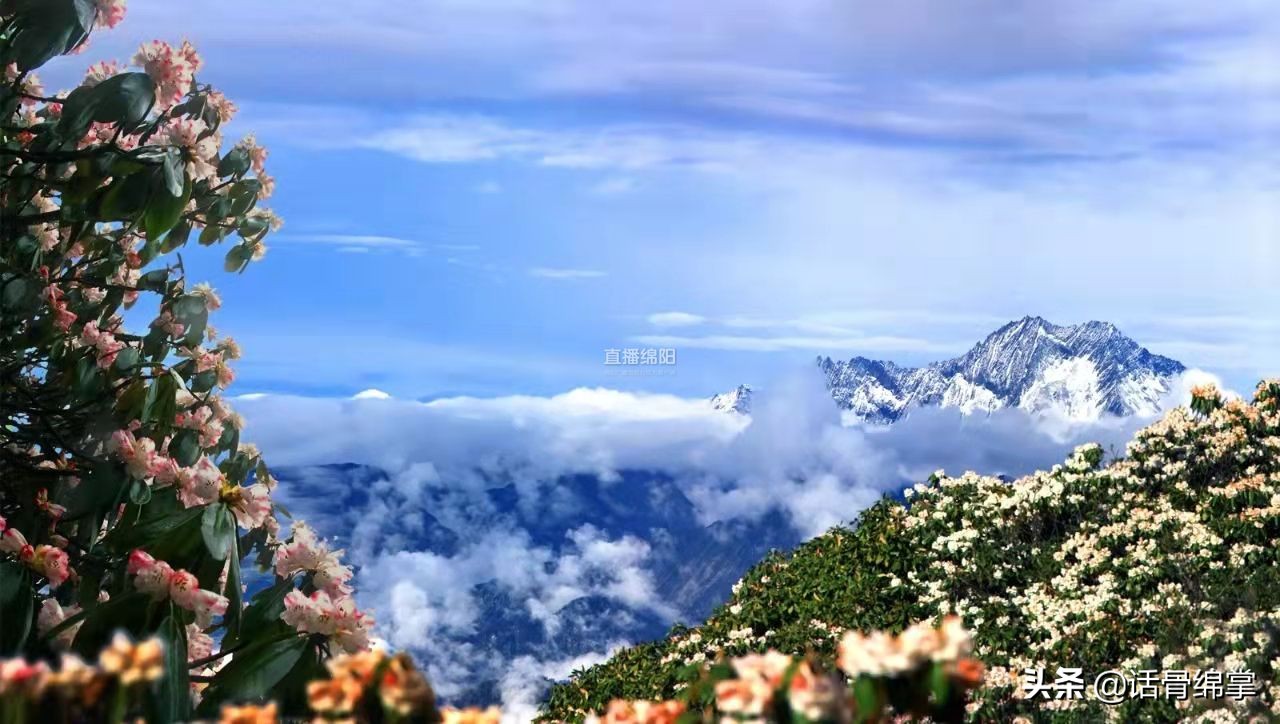 县域经济发展坚持走绿色转型之路,县域崛起