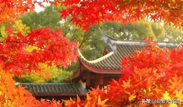 香山周末好去处,香山夏天去好玩吗