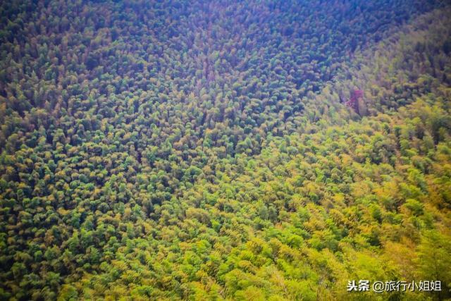 天目湖加南山竹海哪里泡温泉好,天目湖度假秘境享受绝美自然山水