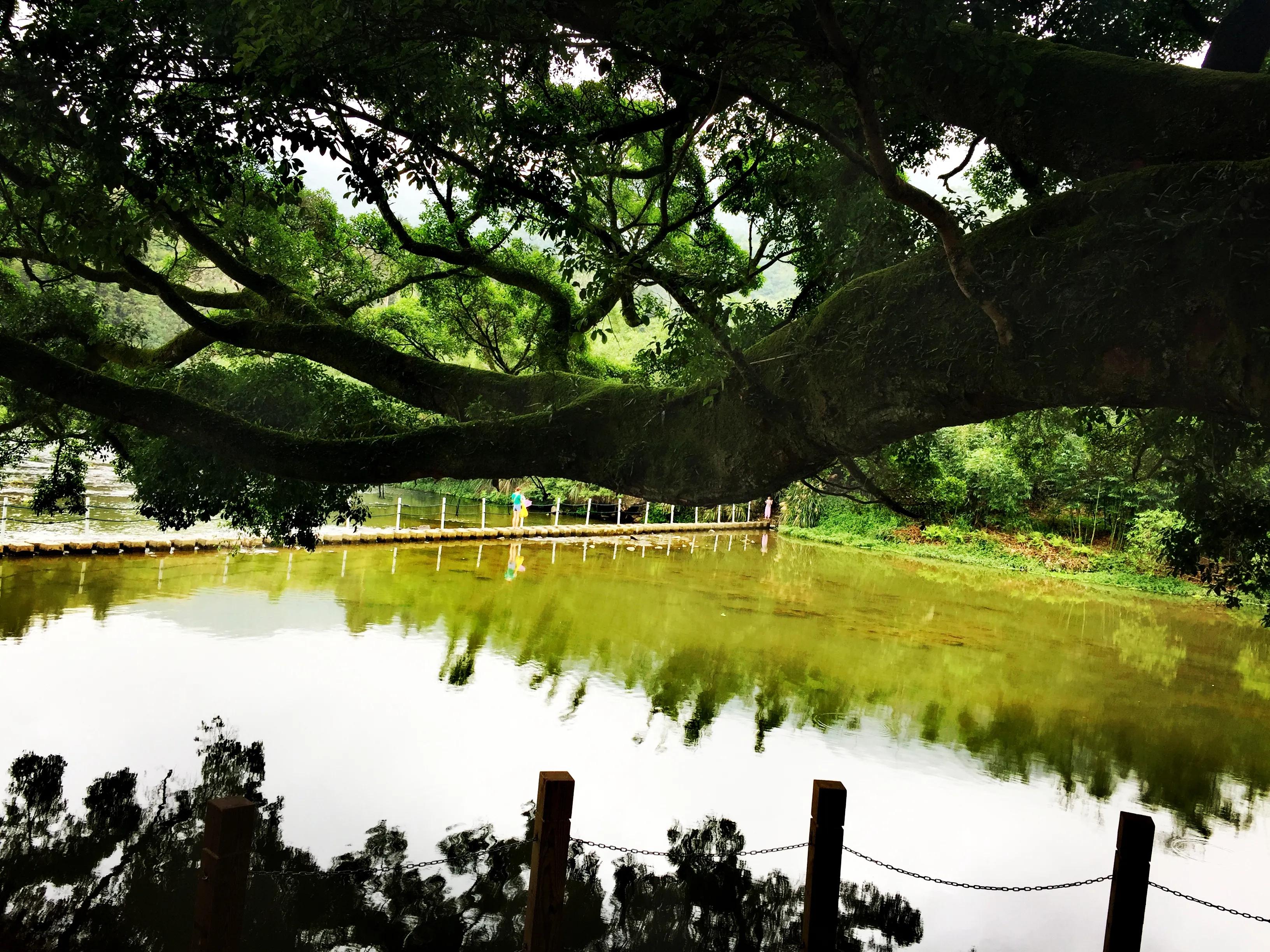 漳州南靖云水谣风光,福建漳州市云水谣风景区