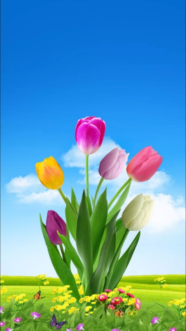 小清新花朵壁纸唯美文艺,唯美淡雅花朵风景图片壁纸