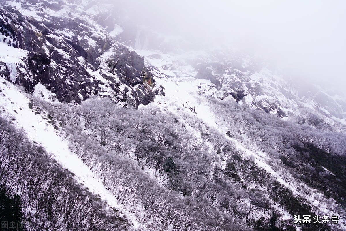我挥泪看完后,从影片《长津湖》中得到的启示,除了震撼还有感动