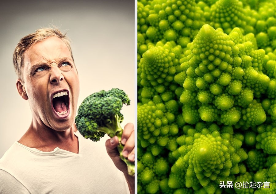 神秘的基因的秘密,神秘的遗传基因