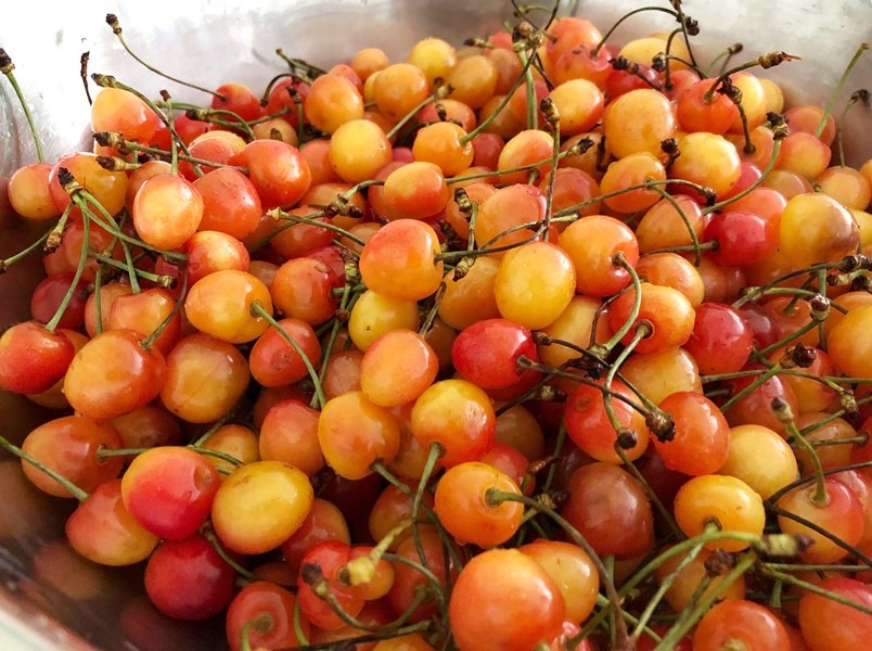 衣服樱桃渍怎么清洗,夏天樱桃的正确吃法