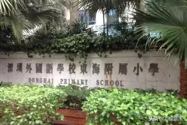 土豪学校深圳大学,深圳土豪高中