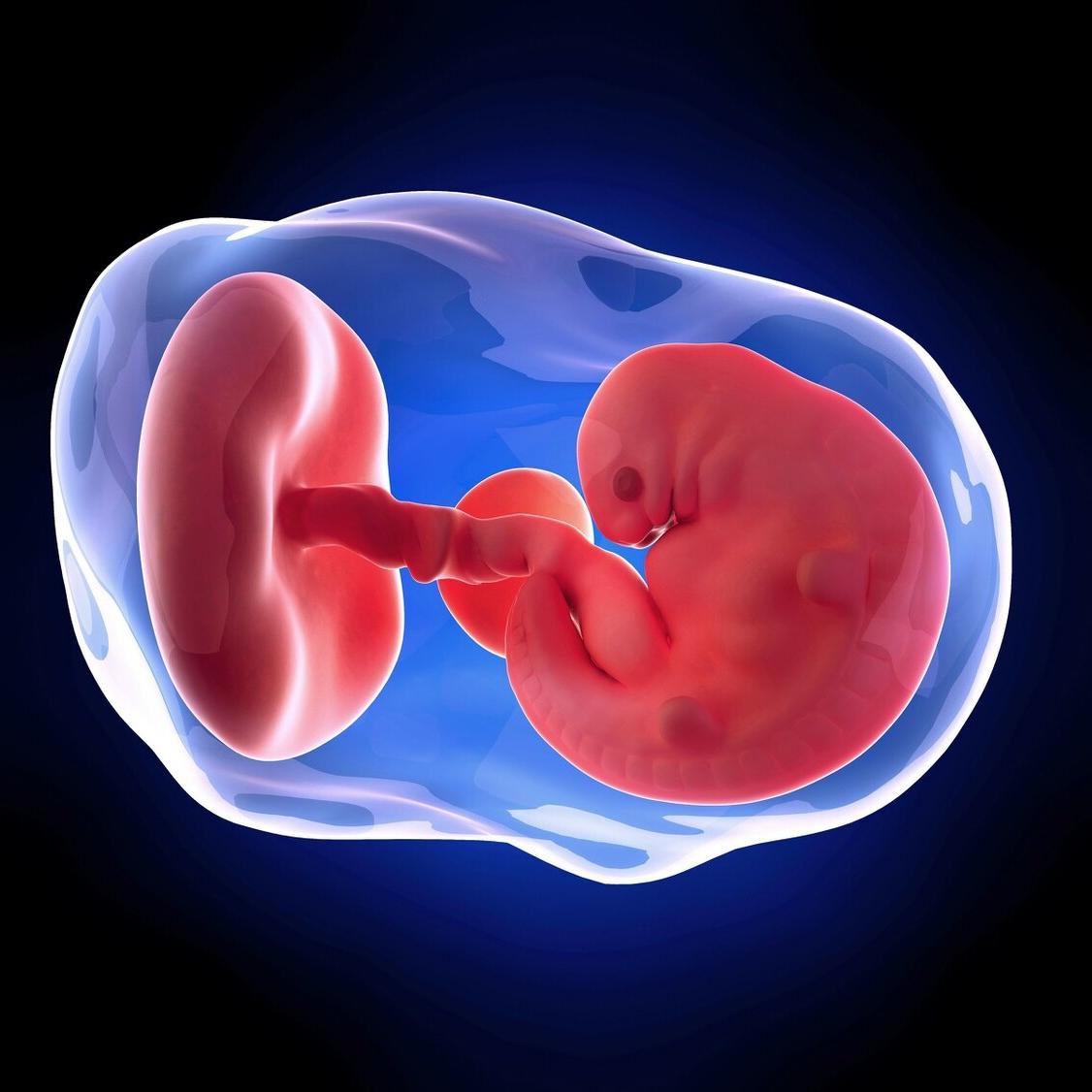 多次移植不明原因失败,好的胚胎反复移植失败怎么办