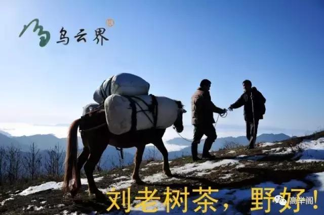 校园——桃源实验小学152班星光灿烂成长系列之二