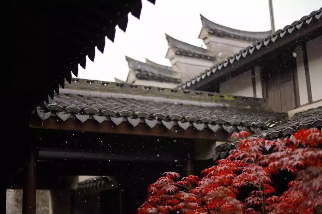 开元集团发展历史,开元集团的发展历程