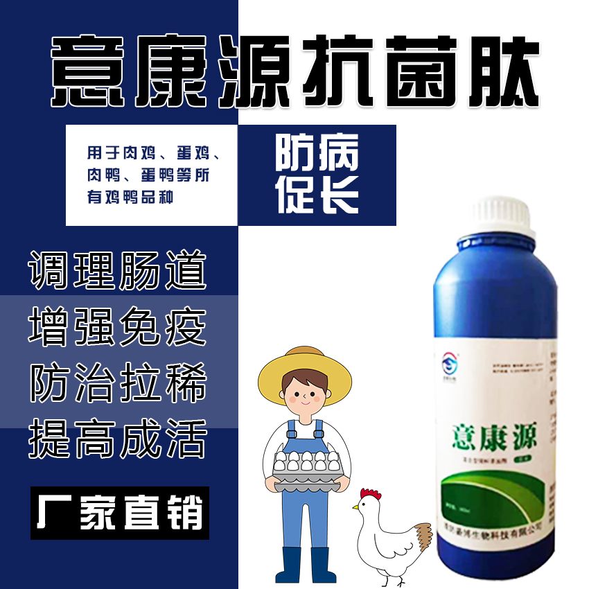 鸡输卵管炎治疗,蛋鸡如何预防输卵管炎