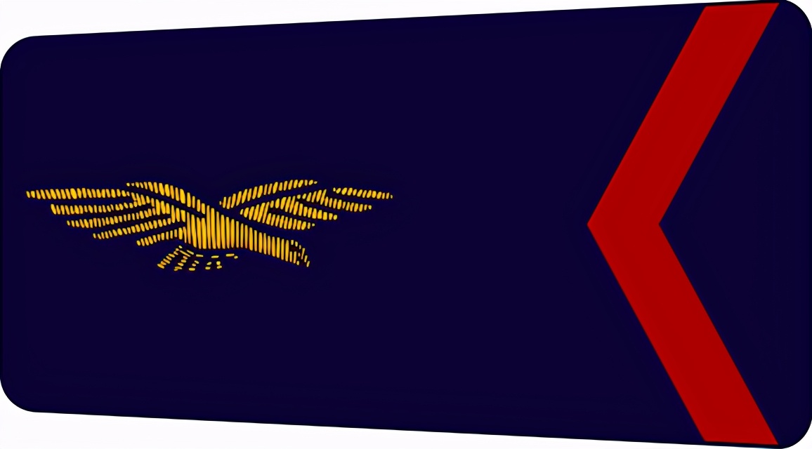 法国将军军衔等级,法国上校是什么军衔