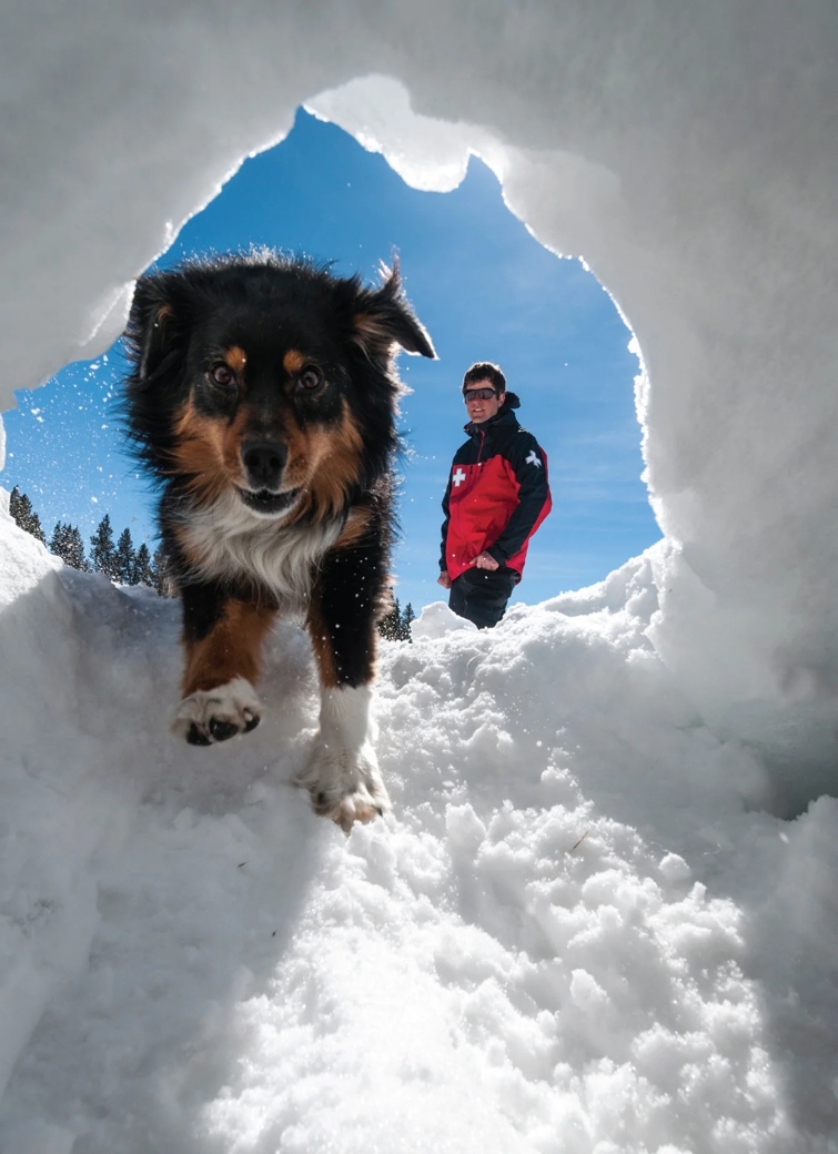 疯狂的爱狗人士,爱狗人士疯狂