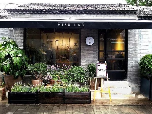 北京最美花店,她放弃了总监职位后续