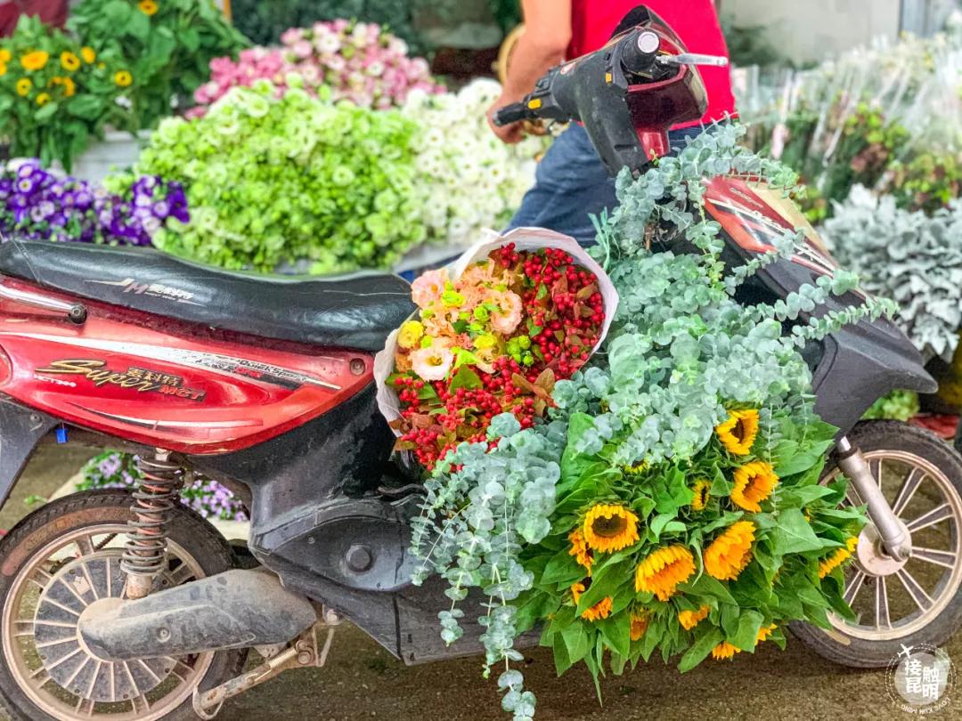 昆明鲜花进货渠道,昆明尚义花市