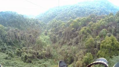 最新白云山风景区攻略,广州白云山野采好去处