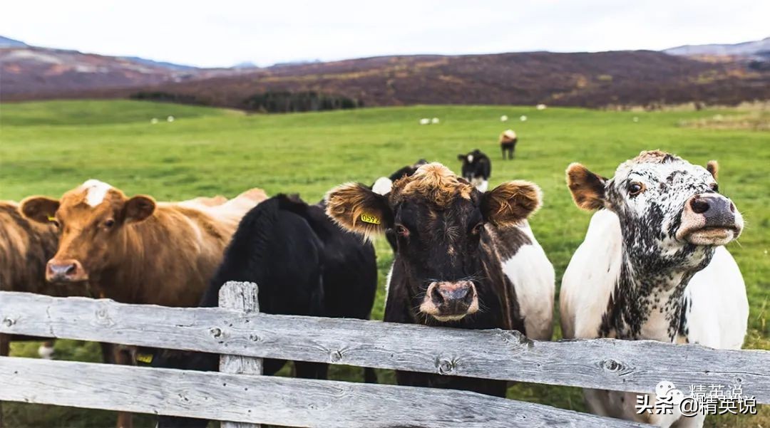 英国记者抑郁症真相,英国记者揭露抑郁症