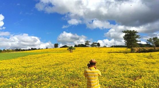 最近缅甸真实现状,缅甸现状带你看看真实的缅甸