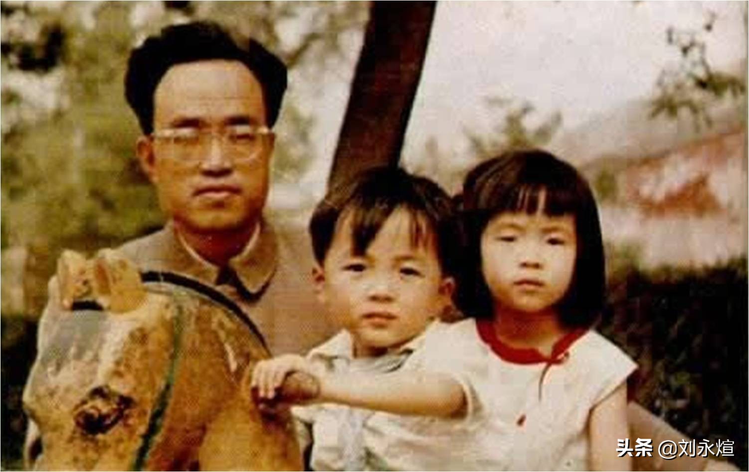 天才，诗人，暴君，与顾城