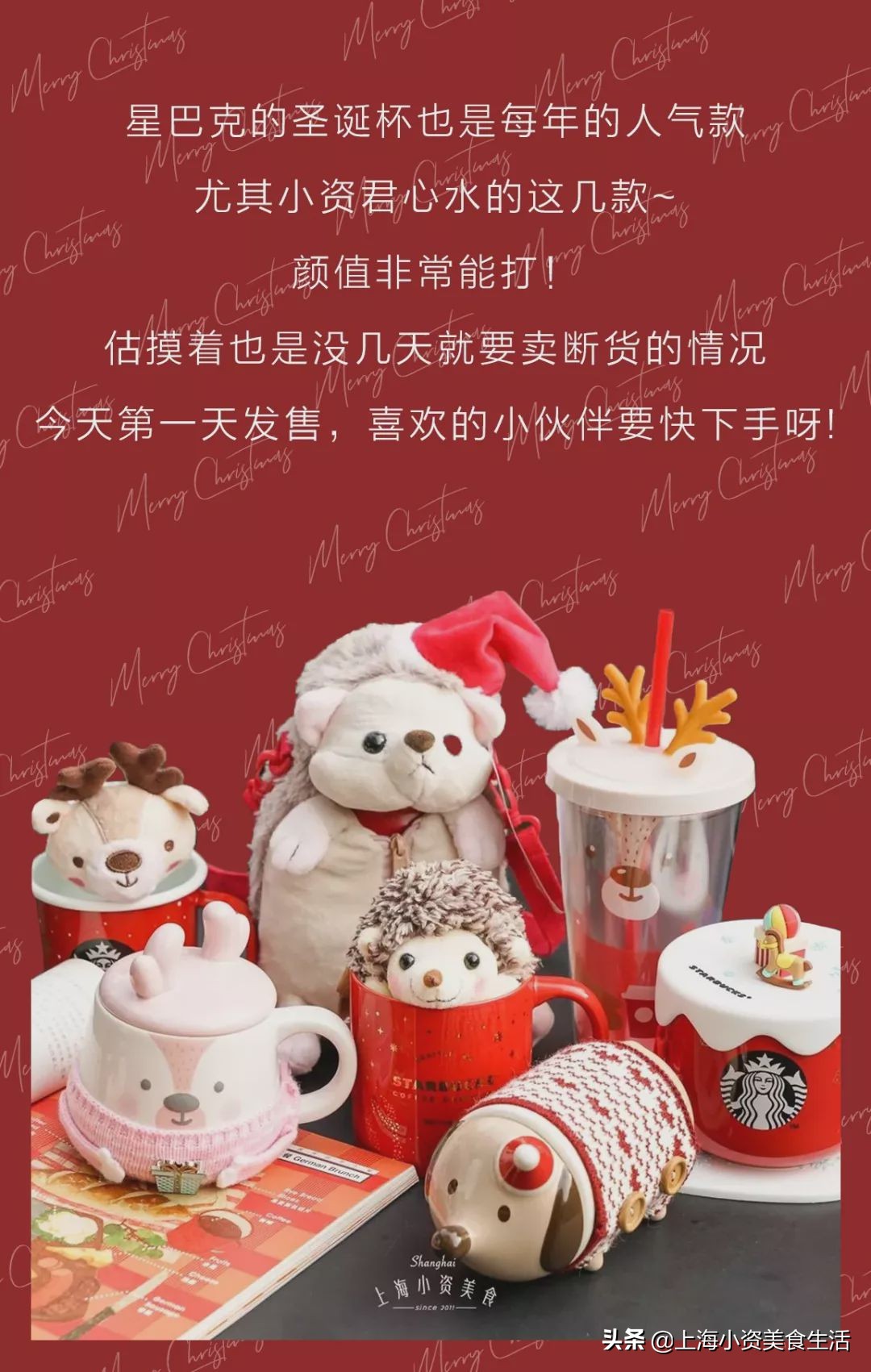 星巴克刺猬冷萃保温杯,星巴克保温杯小刺猬