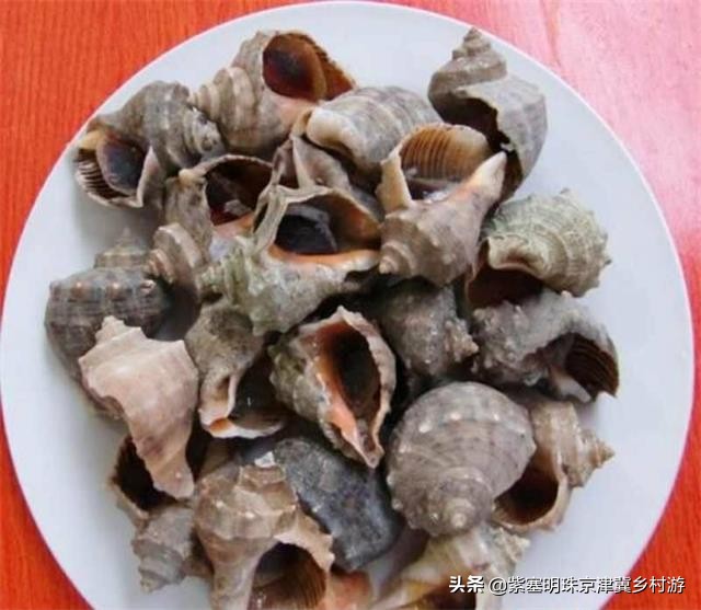 唐山乐亭旅游攻略一日游多少钱,唐山旅游乐亭祥云岛景点大全