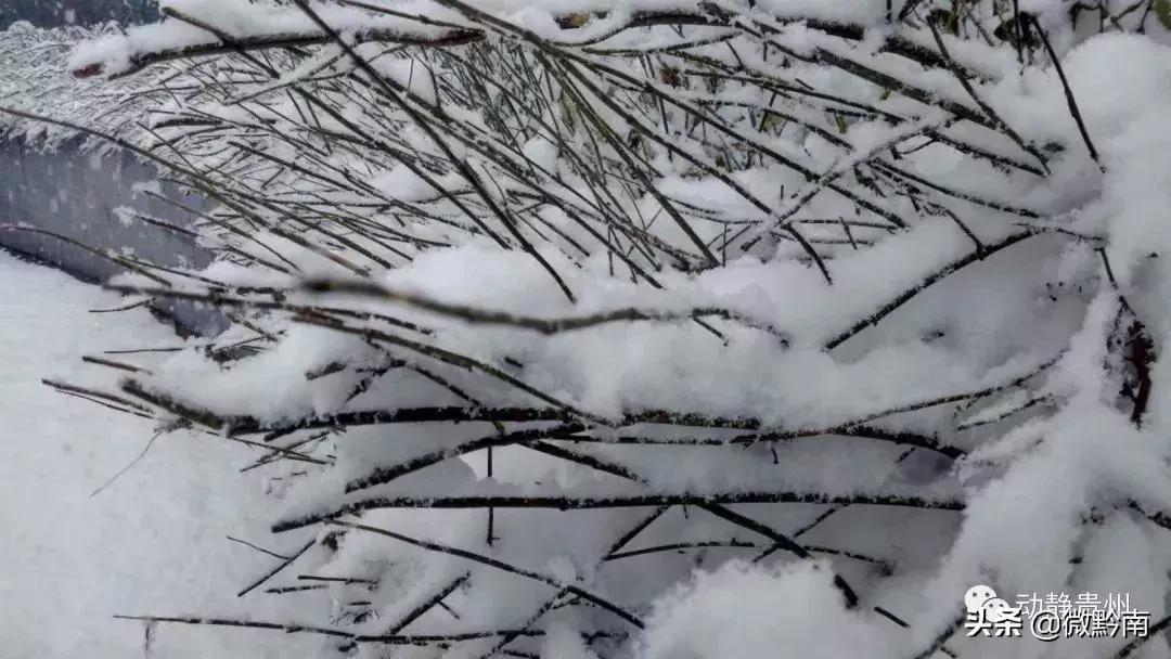 黔南新一轮天气情况表,贵州下了今年的第一场雪