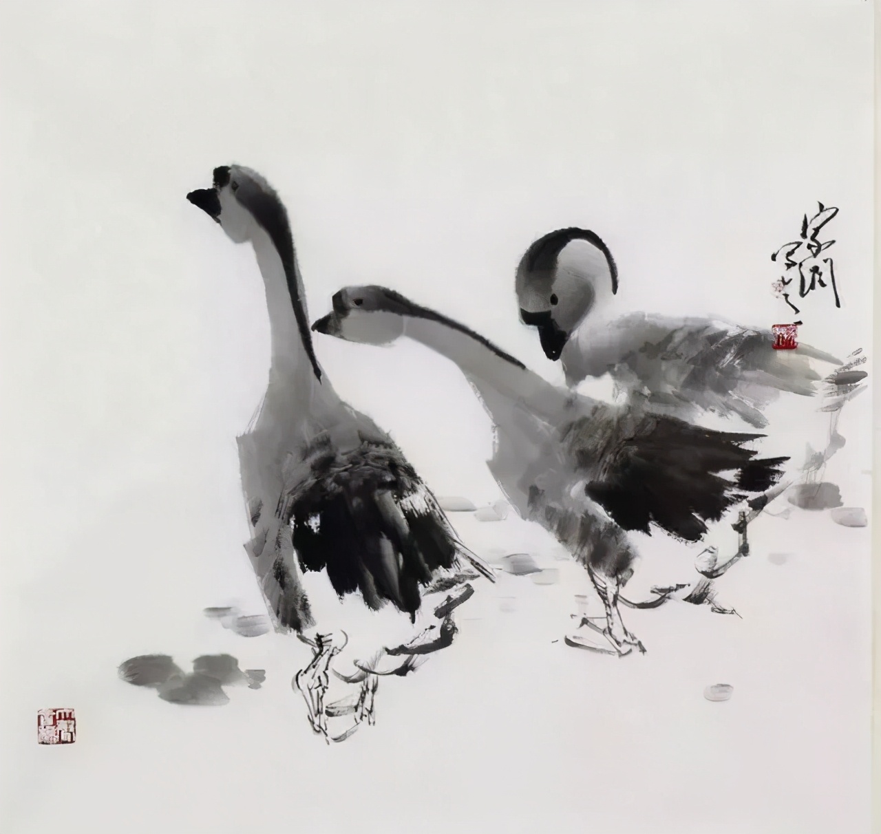 写意鹅国画图片,朱雪娥国画100幅