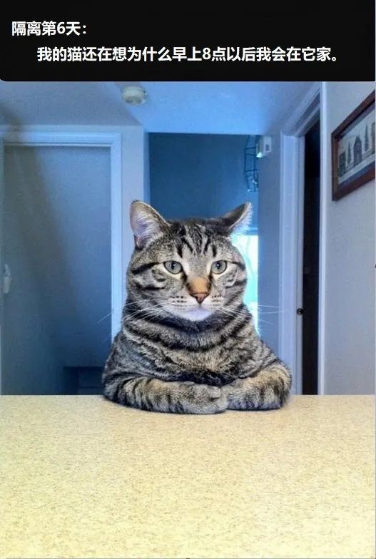 我研究了近20年的泡妹教程|冷段子1404去年今日1094