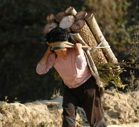 为什么现在很多地方的人都想娶云南的姑娘?