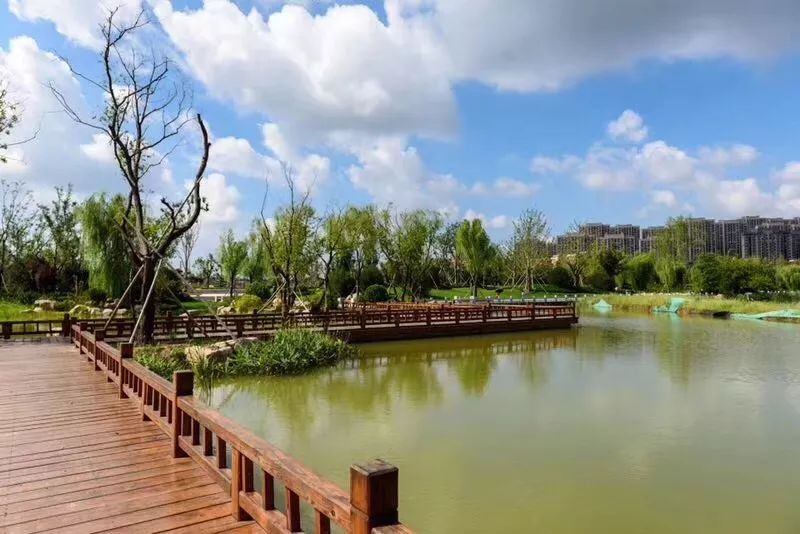 2021年济南人口还会增长吗,济南未来的潜力到底有多大