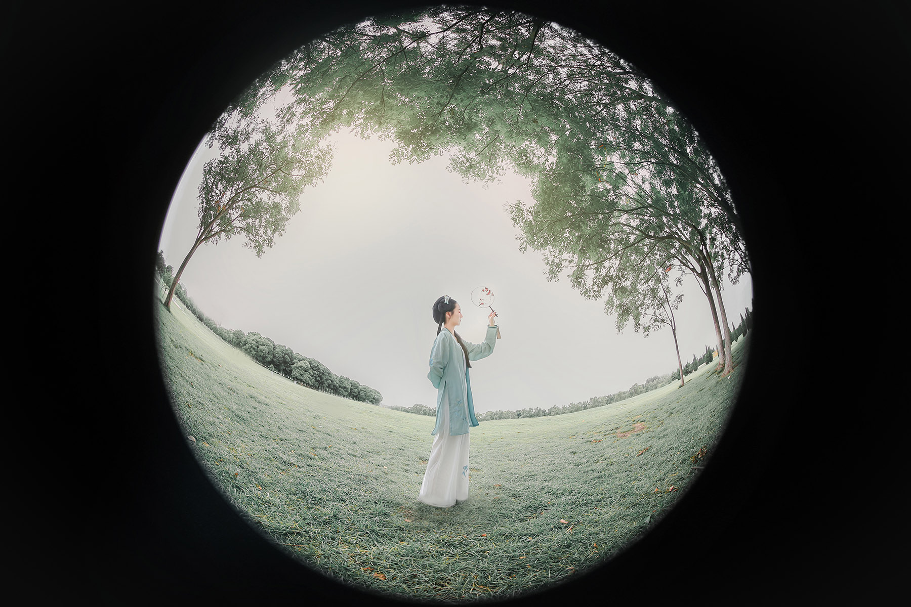 特殊的顶级机和半画幅中的战斗机——弯弯谈摄影器材(5)