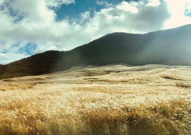 东京到镰仓和箱根攻略,东京箱根富士山镰仓