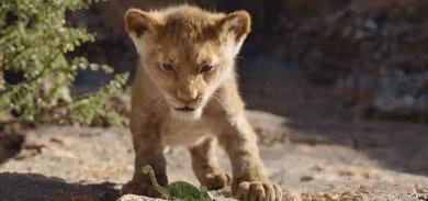 狮子王哪个版本最好看,狮子王好不好用