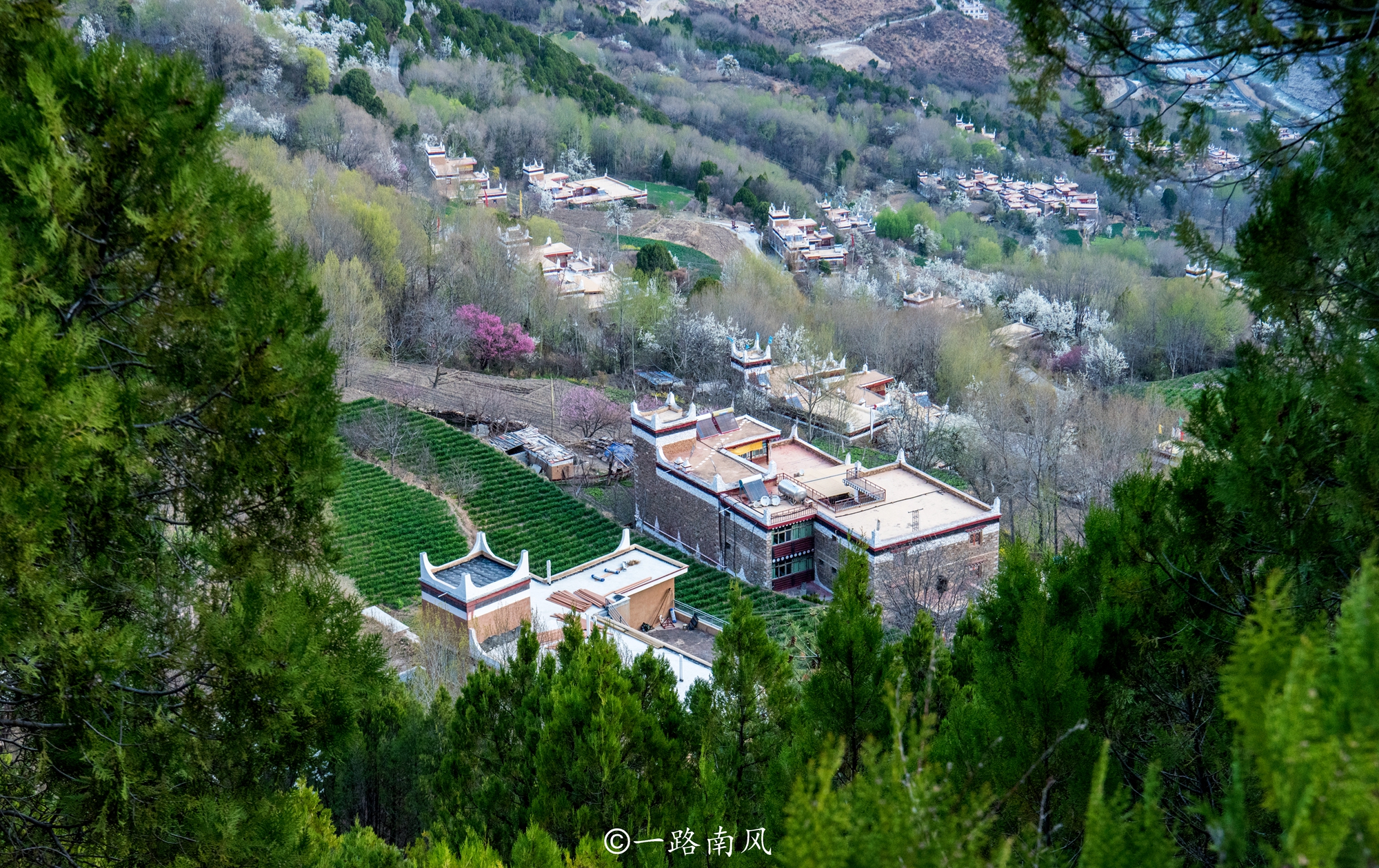 四川甲居藏寨门票,四川甲居藏寨海拔