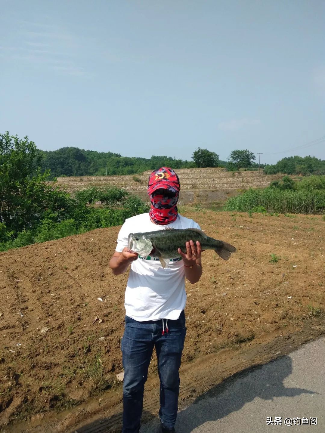 学习钓技需要注意哪些问题,怎么提升自己的钓技