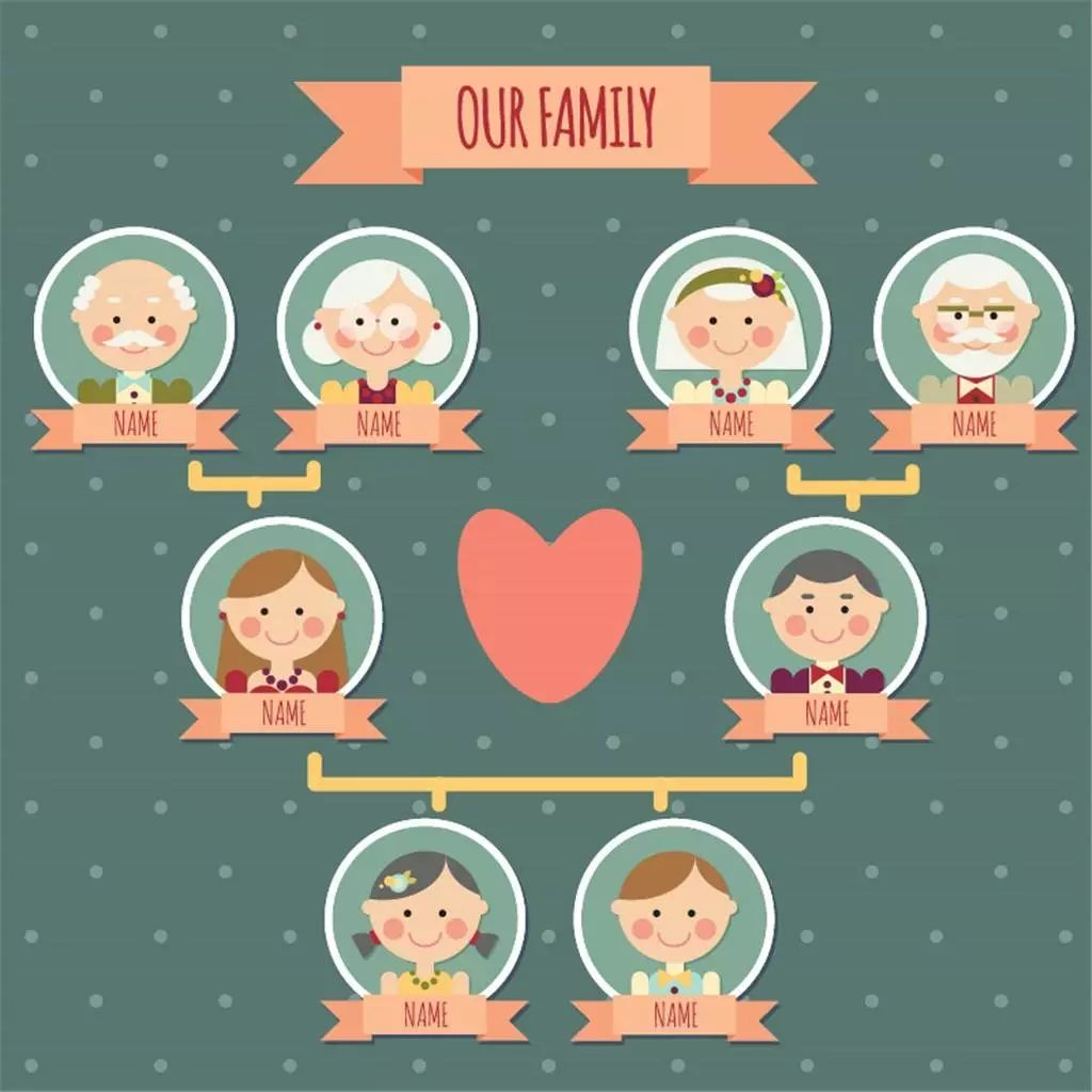 画一幅五代家谱图,画一张自己家的家谱图