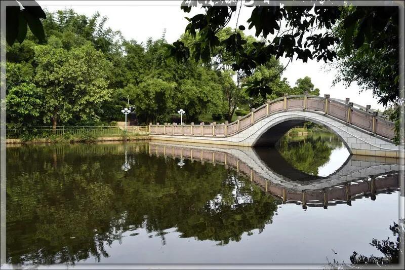 深圳免费公园哪里最好啊,深圳十大免费公园景点大全