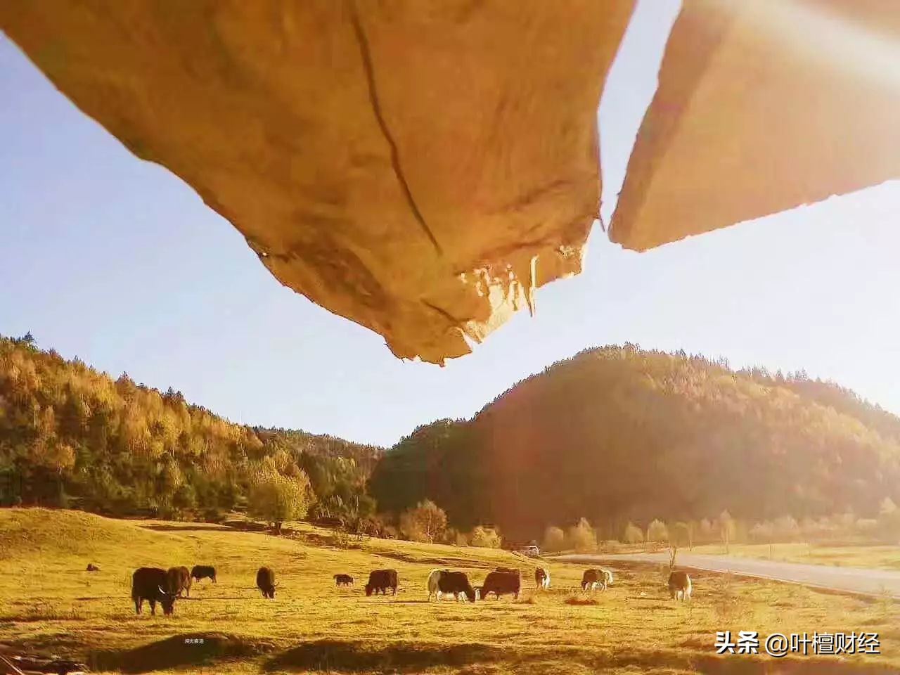 2024科创板,科创板001