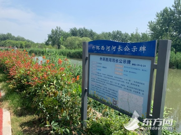 上海的黄浦江有多脏,上海的河道为什么那么臭