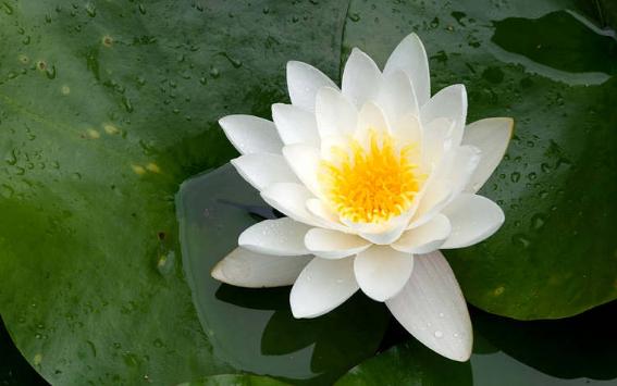 北欧斯德哥尔摩美景,北欧斯德哥尔摩城市视频