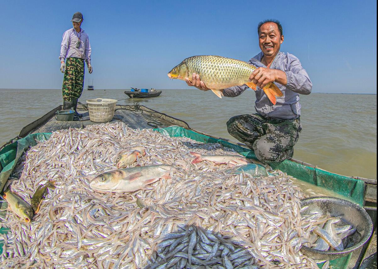 洪泽湖真实现状,洪泽湖最新状况