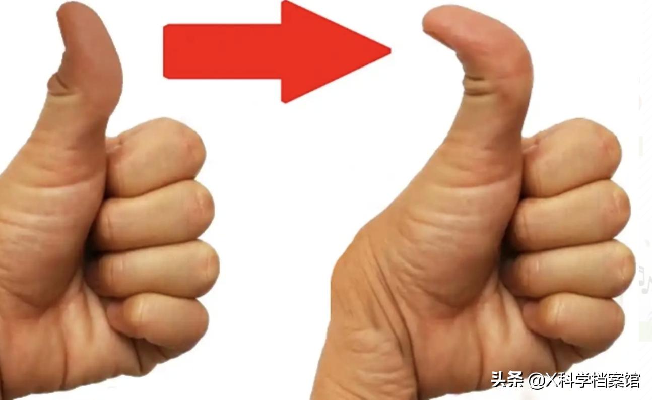 让你大开眼界的生物视频,大开眼界的新物种