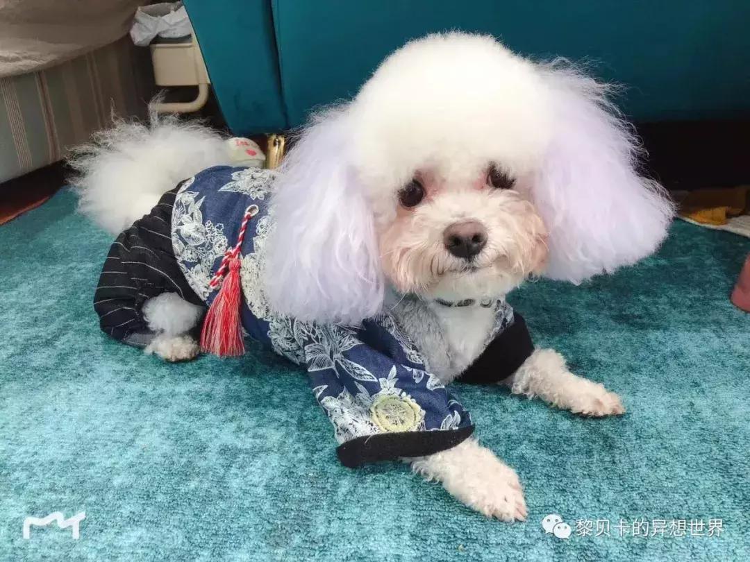 这些东西买的时候好肉痛,用的时候却觉得超值!